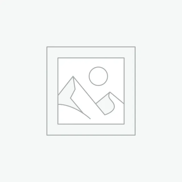 anatecs-msa-id-tag-badge-rfid-d-tecteur-gaz-lot-100 image 1
